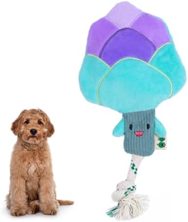 Green Sheep Interactive Plush Dog Toy, No Stuffing Squeaky Toy with Recycled Cotton Rope for Medium to Large Dogs, Chew Toy, Asparagus