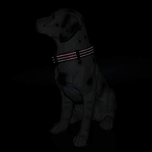 Mile High Life Reflective Dog Collar, Adjustable Lightweight Quick Release