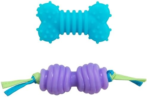 Chew Dog Toys for Teething Puppies & Small Dogs up to 15 lbs, Multi-Texture Dental Support, Bounces & Floats, Moderate Chewers, 2-Pack, 5"