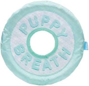 BarkBox Puppy Breath Mint Dog Toy - for Dogs