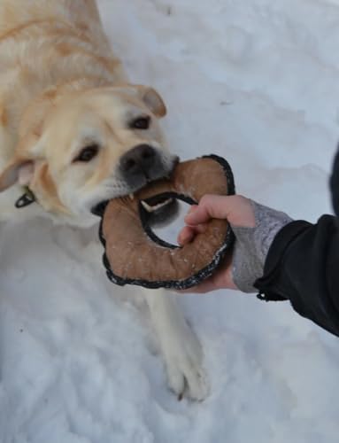 Ultra Tough Small Bone Toy