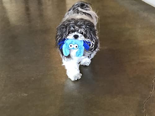 Glory To Dog TinyToy Blue Crab Plush Small Breed Dog Toy