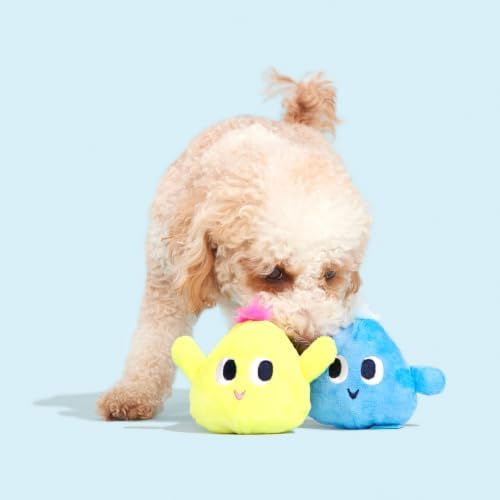BarkBox Wobble Dog Toy Set - Extra Small to Small Dogs