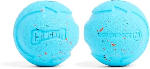 Chuckit! Rebounce Ball Dog Toy, Medium 2.5 Inch, for Dogs 20-60 lbs, Blue, (Pack of 12)