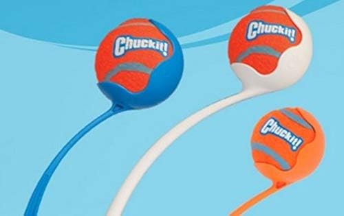Chuckit! Dog Tennis Ball Dog Toy, Large 3in 1 Pack