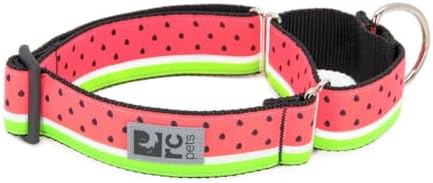 RC Pets 1-1/2 Inch All Webbing Martingale Training Dog Collar, Medium, Watermelon