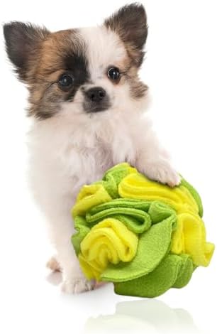 Glory To Dog Puppy/Small Breed Snuffle Dog Puzzle Ball Toy Yellow and Green