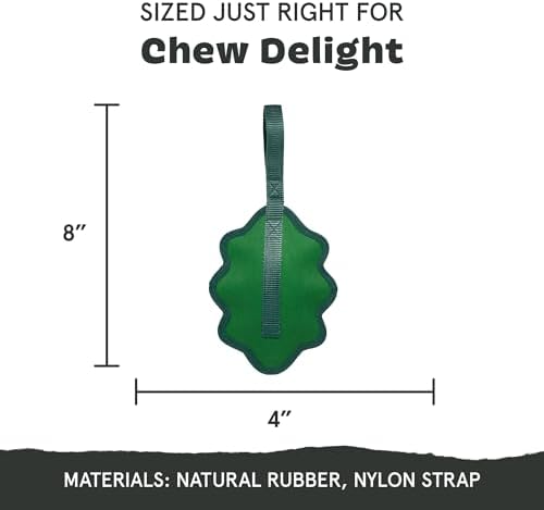 Barkbox Green Chew Leaf Dog Toy for Small Dogs – 2-in-1 Design with Mixed Textures and Surprises, Perfect for Tough Chewing and Playful Pups