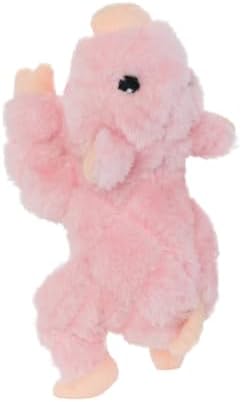 TUFFY®5 Pack Jr Duck, Microfiber Duck, Triceratops, Toucan & Piggy Dog Toys