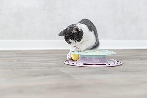 Trixie Junior Cat Activity Circle Track, Chase Track, Cat Toy, Interactive Toy