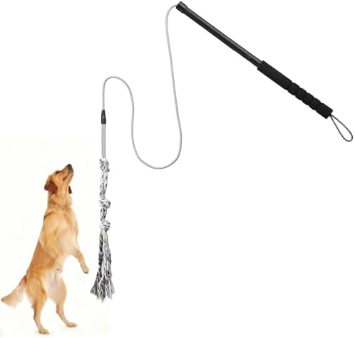 Gingull Outdoor Flirt Pole for Dogs - Interactive Toy Teaser Wand for Dogs Outdoor Chase and Tug of War Heavy Duty Dog Flirt Pole, Durable Pet Toys for Dog, Black