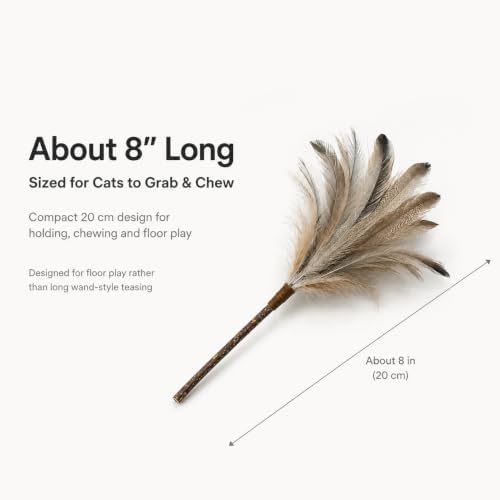 Silvervine Feather Cat Toys, 3 Pack Natural Feather Chew Toys