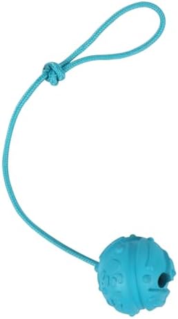 Dog Training Ball on Rope, 2Pcs Dog Rope Toys for Chew Training, Pull Throw and Fetch