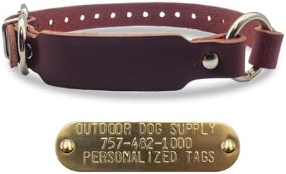 Leather D & Center Ring 3/4"x17" ID Collar w Custom Name Tag, Burgundy