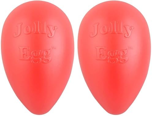 Jolly Pets Jolly Egg Dog Toy, 8 Inches/Medium, Red (JE08 RD) (Pack of 2)