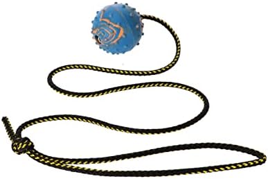 Dingo Fetch Ball Made of Hard Rubber with Knobs and String, Small, for Aport Game Dog Training 17321