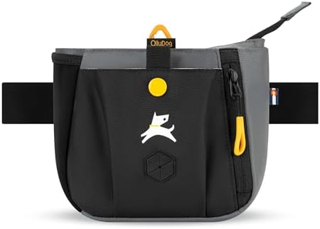 OllyDog Backcountry Day Bag | Dog Training Treat Pouch | Eco-Friendly Recycled Fabric Fanny Pack with Zipper Closure, Built-in Poop Bag Dispenser & Adjustable Waist Belt (Castle Rock)