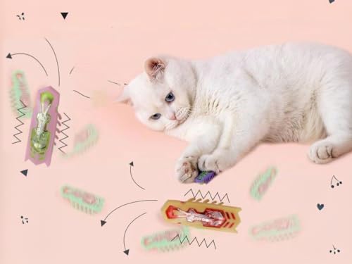 Interactive Cat Toy, 2 Pack Colorful Electric Vibrating Beetle, Self-Righting Automatic Crawl Toy, Bite Resistant Safe Pet Toy, Works On Carpet, Multi Cat Indoor Hunting Exercise Toy