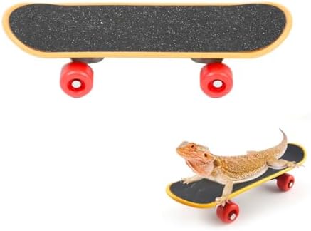 Mini Turtle Skateboard for Small Pets - Fun Tortoise Skateboard Toy for Reptiles, Bearded Dragons, Parrots, and Other Small Animals - Cute and Safe Skateboard for Turtles and Tortoises(Large)
