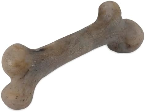 Pet Qwerks Dinosaur BarkBone Nylon Dog Chew, Bacon Flavor, Medium 8.5in