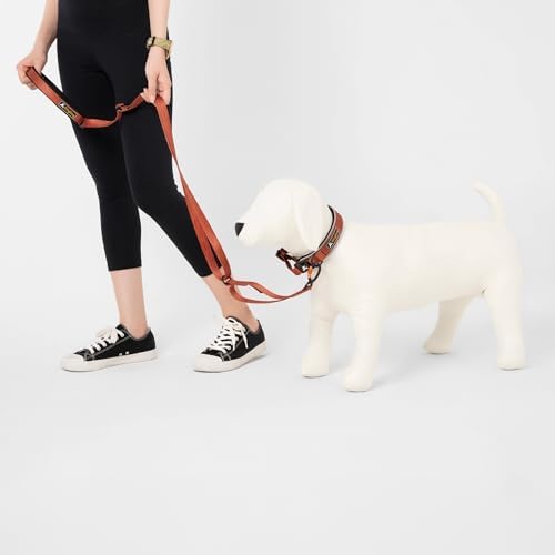 OllyDog Flagstaff Reflective Comfort Collar, Neoprene Padded Dog Collar, Reflective Trims for Night Runs, Extra Comfort for Active Dogs (Large, Clay Woodgrain)