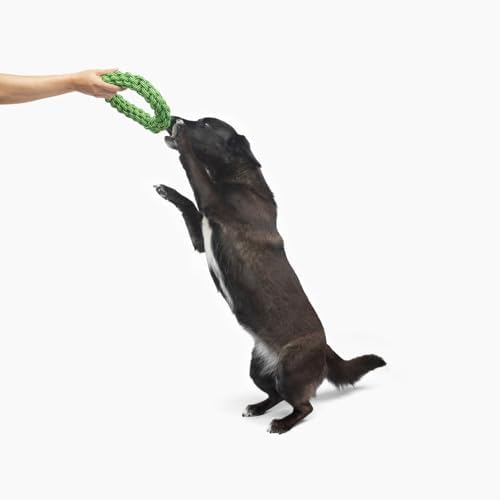 Jolly Pets TIK-Tak-Tugzz Woven Rope Dog Toy, O Shape, Large/XL