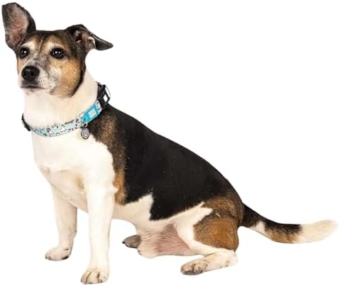 Max & Molly Urban Pets Smart ID Dog Collar - Soft Neoprene, Waterproof, Machine Washable, Power Buckle, Gotcha! QR Tag & Custom App Profile, Unicorns M