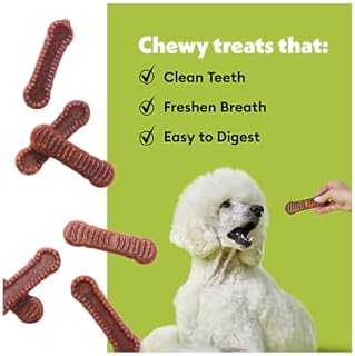 Wiggles & Wags Dental Chews for Small Dogs, Pumpkin Flavor, 12 Ounces with Bone Shaped Dispenser & Roll