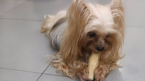 Coffee Wood Dog Chew Stick - Coffee Wood Stick for Your Pets - Non Toxic - Safe - Puppy Chew Toy for Teething - Made in Vietnam - 1 Pack/2 Pieces (Small)