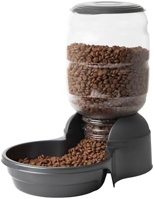 Petmate Replendish Automatic Dog Feeder, Microban Protection, 10lbs