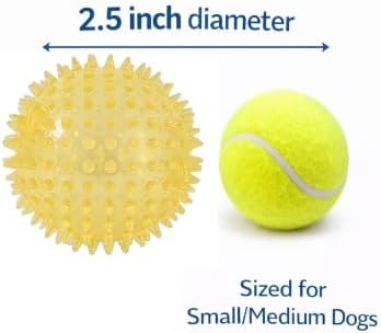 Squeaky Spiky Dog Ball for Teeth Cleaning & Gum Massage 2.5 Inch Small Medium Dogs Yellow | Spiny TPR Rubber Chew Toy for Fetch Play Interactive Bouncy Dental Ball Durable BPA Free Nontoxic Floats