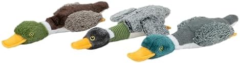 Best Pet Supplies Interactive Squeaky Dog Chew Toy, Ideal Dog Toys for Chewers, Small, Medium & Large Dogs, and Fetch Lovers - Mallard Duck Wing (Gray), Large