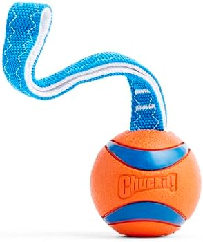 Chuckit! Ultra Tug Dog Toy, Durable Nylon Cord Handle, Large 3-in