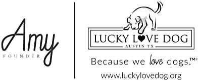 Lucky Love Dog Martingale Collar for Medium Dogs Cute – Carriebelle, Medium