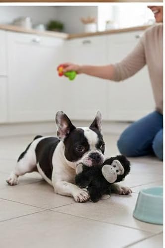 Gorilla Dog Toy w/ Squeaker | Small Plush Gorillas Dogs Toys | 6 Inch Stuffed Squeaky Gorilla Toy for Pets | Ape Dogs Toys | Realistic Squeaky Apes & Gorillas | Small/Medium Breed | Black/Gray | 6"