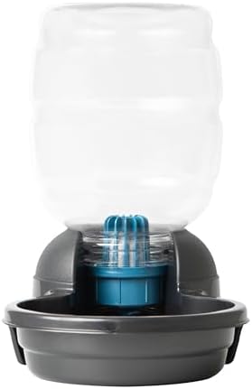 Petmate Replendish Automatic Dog Water Dispenser, 1 Gallon, 2 Filters