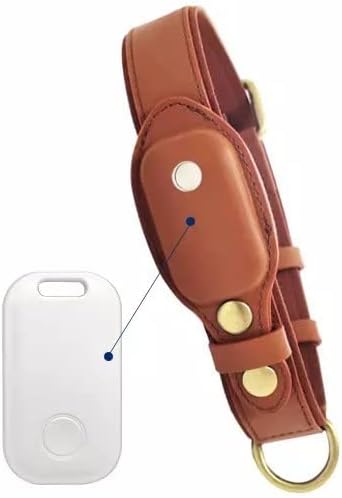 Etrip Tag with Leather Dog Collar
