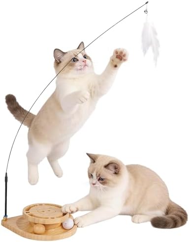 Cat Ball Track Toy, Interactive Cat Toy for Indoor Cats