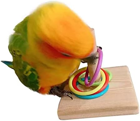 LAIYOHO Parrot Intelligence Training Toy