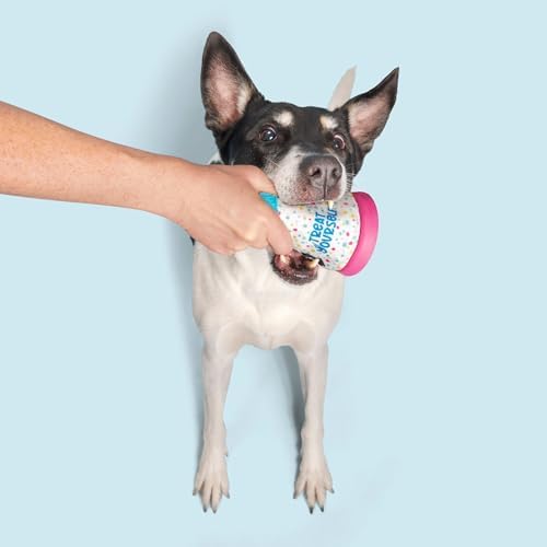 BarkBox Treat Yourself Party Hat Dog Toy - Toy for Small to Medium Dogs