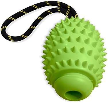 OllyDog Spikey Rugby, Interactive Dog Chew Toy with Natural Rubber, Multifunctional Teeth Cleaning and Gum Massage, for Dogs Under 50lbs (Lime)