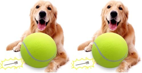 Banfeng Big Dog Tennis Ball,9.5" Giant Doy Sport Ball Toy Birthday Gifts (Pack of 2)