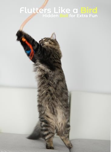 Cat Toys for Indoor Cats, Interactive Wand Toy 3 Pack with Feather and Bell