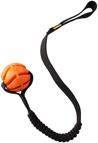 Dingo Dog Ball with Long Bungee Handle, Natural Rubber, Color May Vary 27in