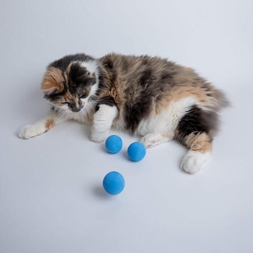 Rawry Foam Ball Cat Toy for Indoor Cats & Kittens,12 Pack, Blue