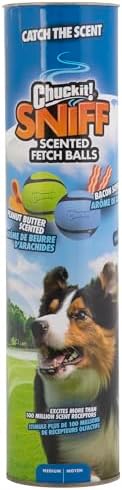 Chuckit! Sniff Fetch Balls Canister, 4 Pack, for Medium Dog Breeds