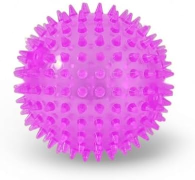 Squeaky Spiky Dog Ball for Teeth Cleaning & Gum Massage 2 Inch Puppy Small Dogs Purple | Spiny TPR Rubber Chew Toy for Fetch Play Interactive Bouncy Dental Ball Durable BPA Free Nontoxic Floats