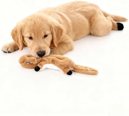 Squeaky Plush Squirrel Dog Toys,No-Stuffing,Set of 2