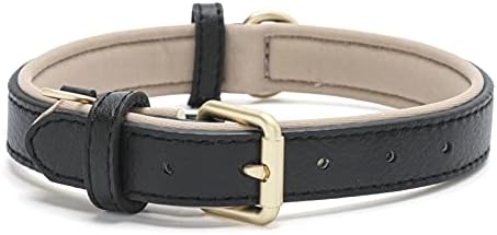 Leather Dog Collar for Small Medium Large Dogs Soft Waterproof Padded Puppy Collars