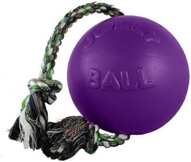 Jolly Pets Romp-N-Roll Rope & Ball Dog Toy, 4.5 in Small, Blue